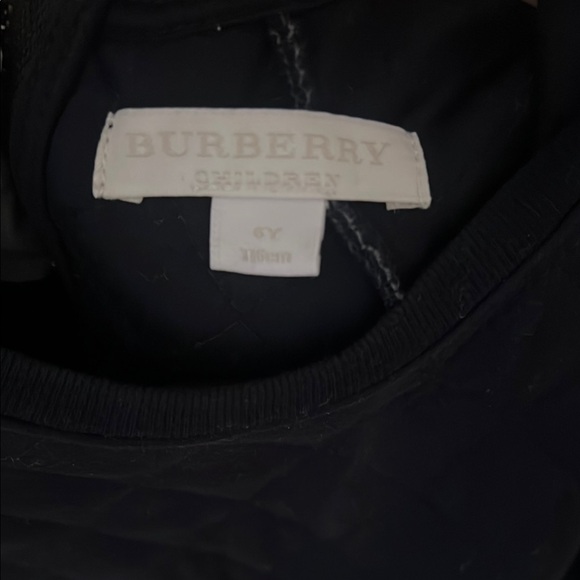 Burberry Blue Casual 3/4 Sleeve Dress - Picture 2 of 2